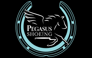Logo Design for Pegasus Shoeing